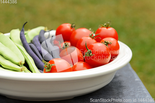 Image of Calypso and French beans in a dish with ripe tomatoes