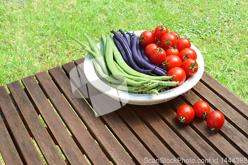 Image of Calypso beans and French beans in a dish with tomatoes