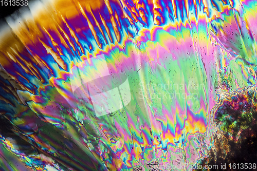 Image of Trisodium citrate microcrystals