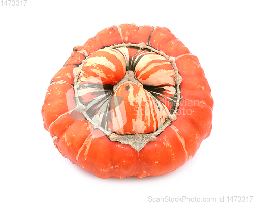 Image of Ribbed and warty orange turban squash with striped, lobed centre