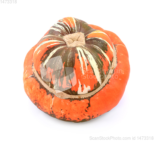 Image of Large Turks Turban gourd with dark brown and orange stripes