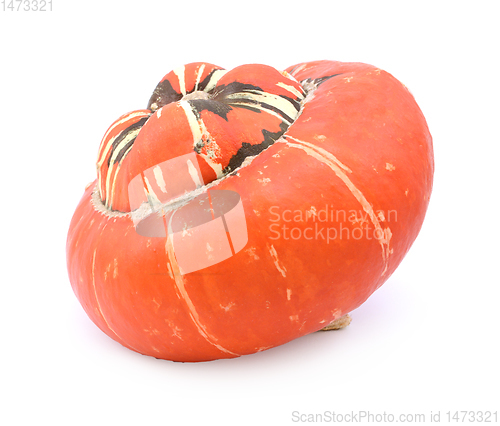 Image of Deep orange turban squash in profile with colourful, striped cen