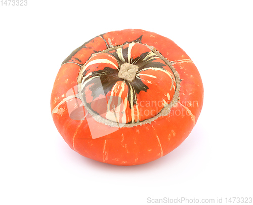 Image of Bright orange Turks Turban heirloom gourd with striped, raised c