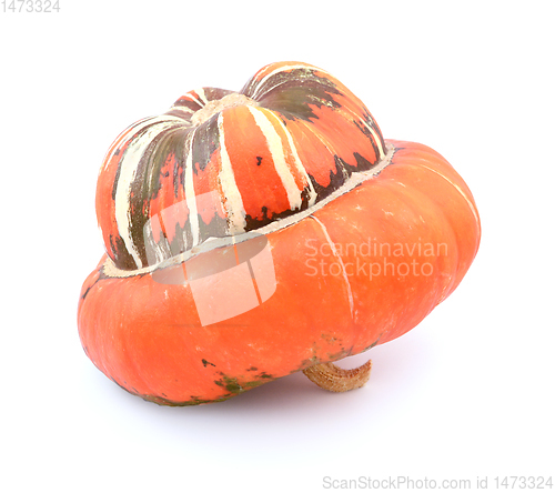 Image of Profile of Turks Turban gourd, with a smooth orange cap