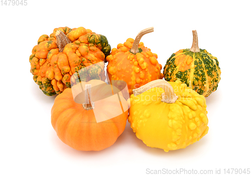 Image of Five ornamental gourds, orange, green and yellow