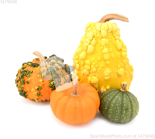 Image of Group of five ornamental gourds - orange, yellow and green