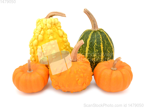 Image of Five decorative gourds with smooth and warted skin 