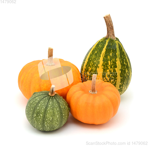 Image of Green ornamental gourds and orange Jack Be Little mini pumpkins