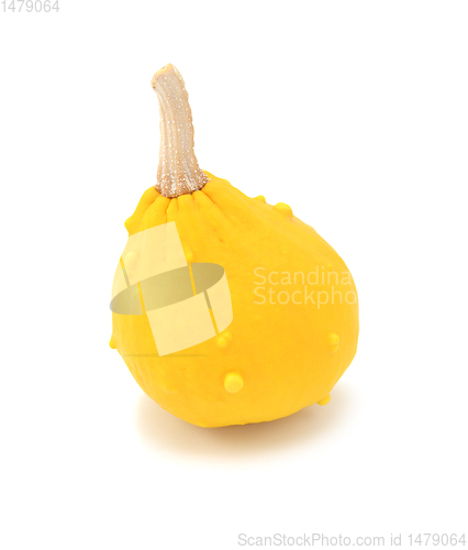 Image of Teardrop-shaped decorative ornamental gourd with yellow skin