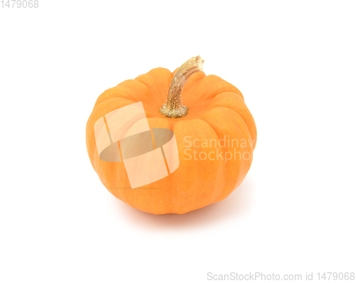 Image of Small Jack Be Little pumpkin with smooth orange skin