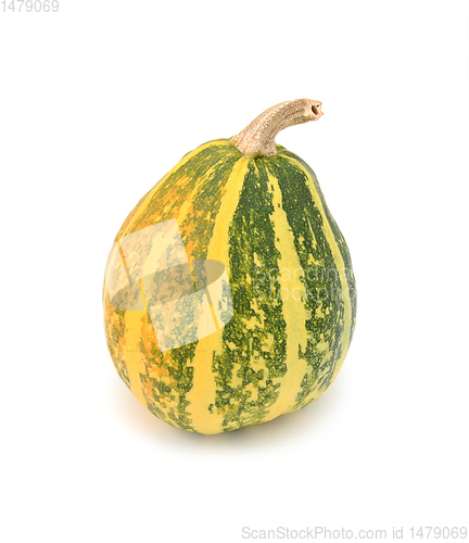 Image of Half-ripe ornamental gourd with yellow and green stripes