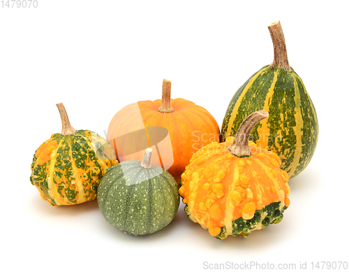 Image of Group of decorative gourds with orange and green markings