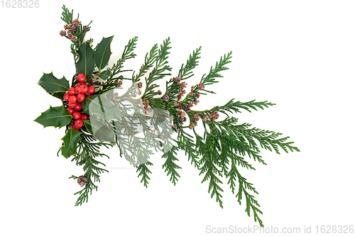 Image of Christmas Composition of Holly and Cedar Cypress 