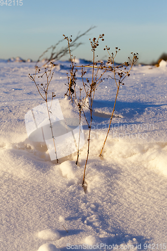 Image of After snowfall