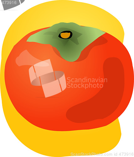 Image of Persimmon fruit illustration