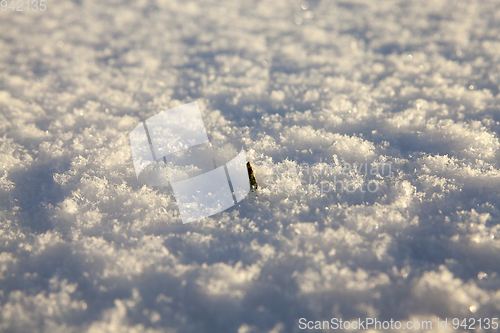 Image of Snow drifts in winter