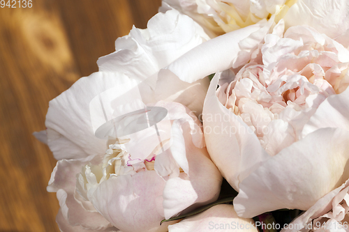 Image of bouquet from peonies