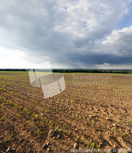 Image of Spring landscape