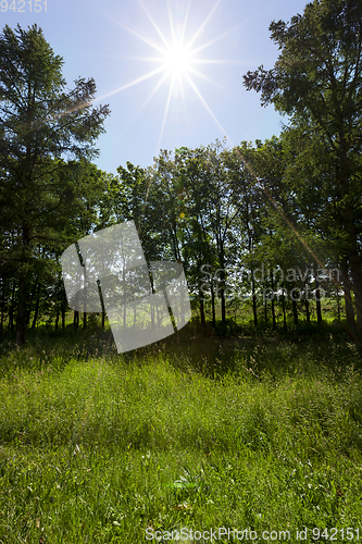 Image of Sun rays