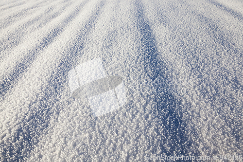 Image of After snowfall