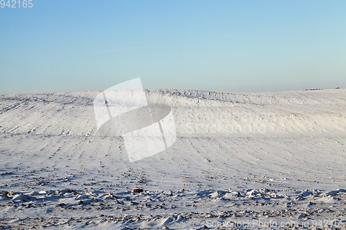 Image of winter landscape, a field