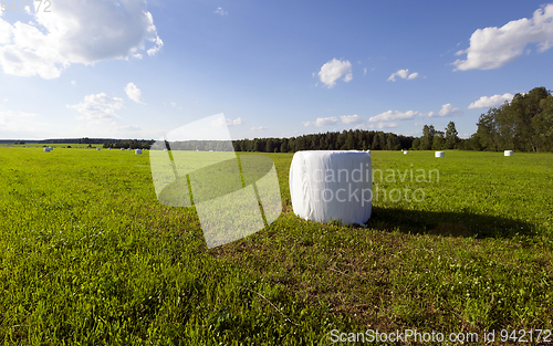 Image of Hay bales in plastic