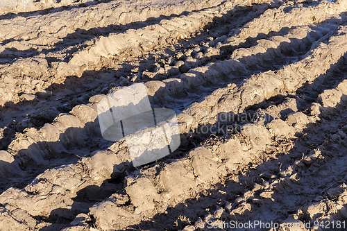 Image of Autumn dirt on the road