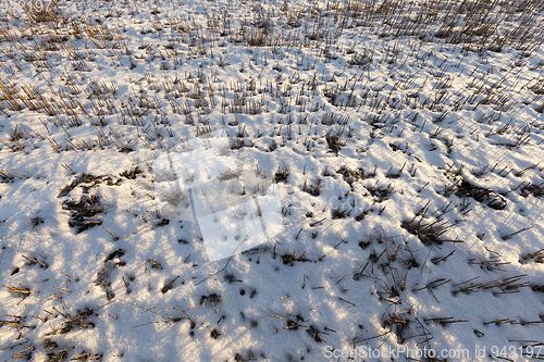 Image of field covered with snow