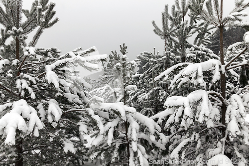 Image of Snow drifts in winter