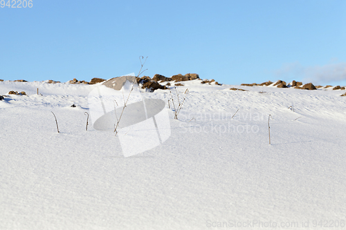 Image of Snow in winter