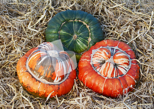 Image of Two striped orange Turks Turban squashes and a green gourd