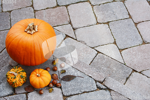 Image of Orange pumpkin and gourds with hazelnuts and autumn leaves 