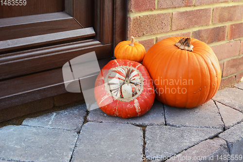 Image of Collection of seasonal gourds as a Thanksgiving decoration