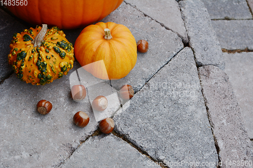 Image of Ornamental gourds and hazelnuts as fall decorations on a stone s