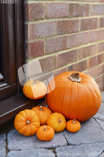 Image of Collection of mini pumpkins and a large orange pumpkin 