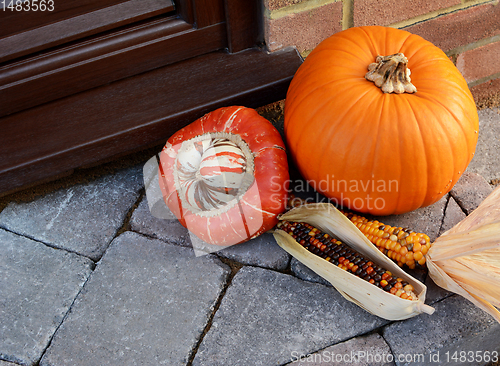 Image of Turks Turban gourd with colourful ornamental corn and pumpkin