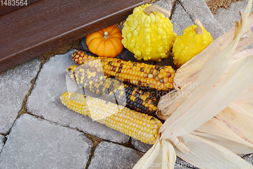 Image of Three cobs of ornamental corn and gourds on a doorstep