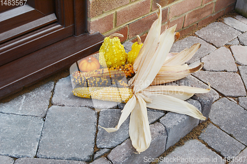 Image of Fall decoration of multi-coloured Indian corn and ornamental gou