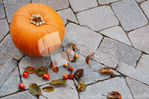 Image of Large pumpkin surrounded by red crab apples and fallen leaves 