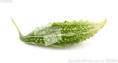 Image of Ripe green bitter melon fruit with unusual ridged skin