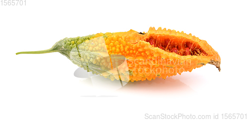 Image of Overripe bitter gourd, with orange warty flesh, splitting open