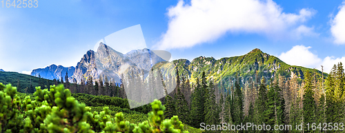 Image of Polish Tatra mountains summer landscape with blue sky and white clouds.