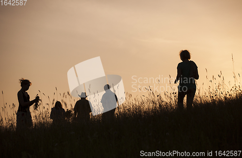 Image of Silhouettes of People picking flowers during midsummer soltice 