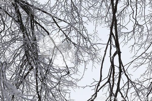 Image of Snow drifts in winter