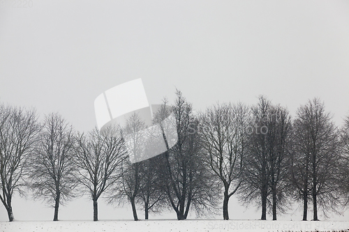 Image of Snow drifts in winter