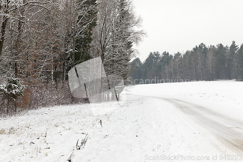 Image of road covered with snow in the forest