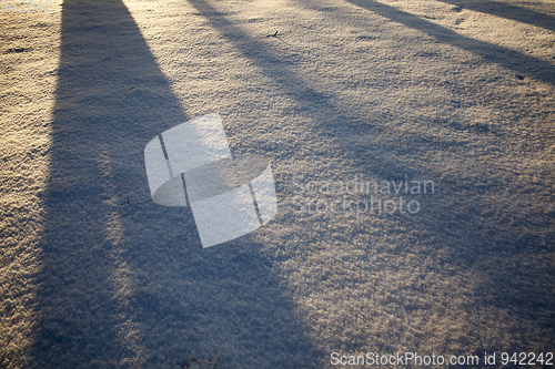 Image of Shadows in the snow