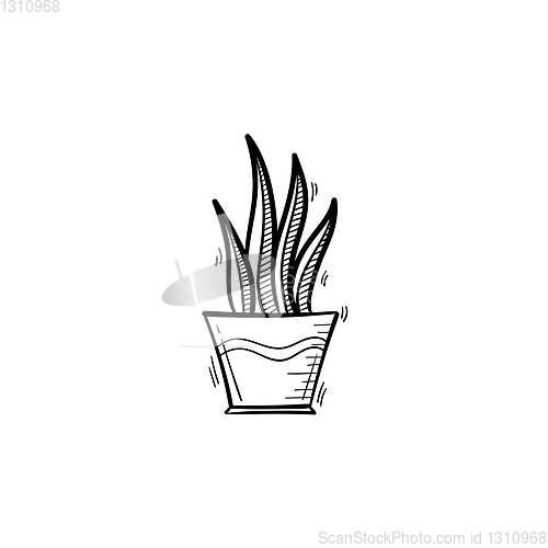 Image of Sansevieria trifasciata hand drawn sketch icon.