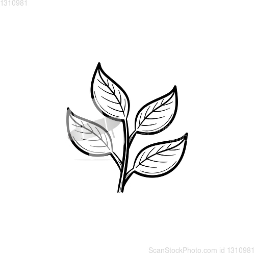 Image of Branch with leaves hand drawn sketch icon.