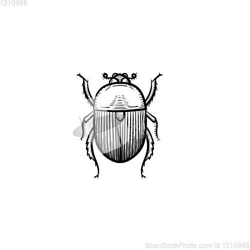 Image of Colorado potato beetle hand drawn sketch icon.